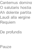 Cantemus domino O salutaris hostia Ah dolente partita Laudi alla vergine Requiem  De profundis   Pauze